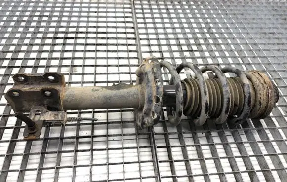 Opel Zafira B Front shock absorber/damper 