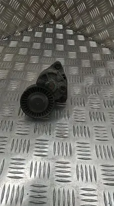 Hyundai Terracan Generator/alternator belt tensioner 23358