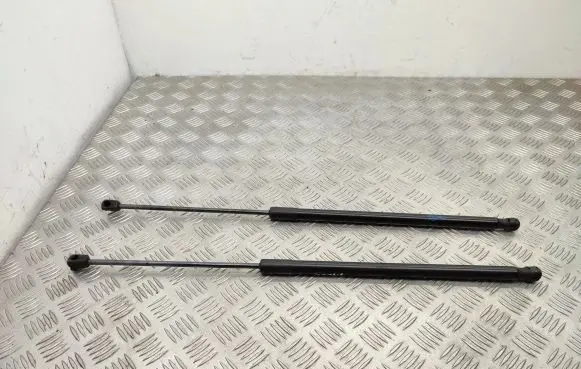 Ford Puma Tailgate/trunk strut/damper L1TBS406A10AB