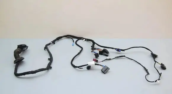 BMW X1 U11 Front door wiring loom 5B32194