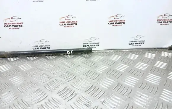 Tailgate strut