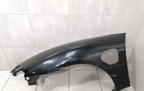 Porsche Taycan 9J1 Fender 9J1821101AY