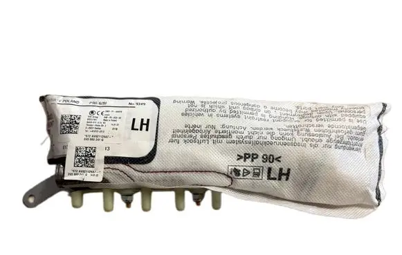 Skoda Superb B8 (3V) Seat airbag 3V0880241