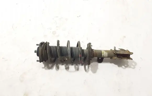 MG ZS Front shock absorber/damper 10886192