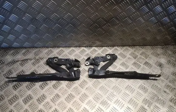 Engine bonnet/hood hinges