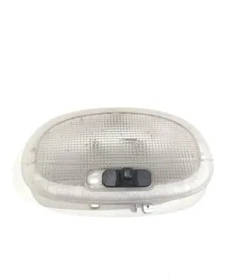 Ford Fusion Rear seat light