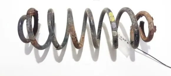 Volkswagen PASSAT B6 Rear coil spring