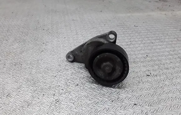 Citroen C3 Generator/alternator belt tensioner 9685486880