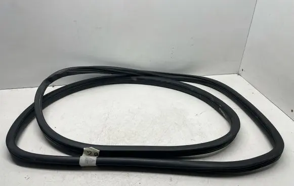 BMW X5 E70 Rubber seal rear door