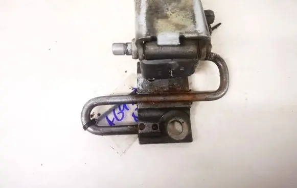 Rear door lower hinge