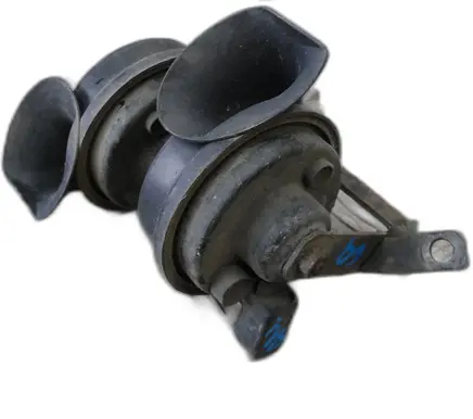 Horn signal