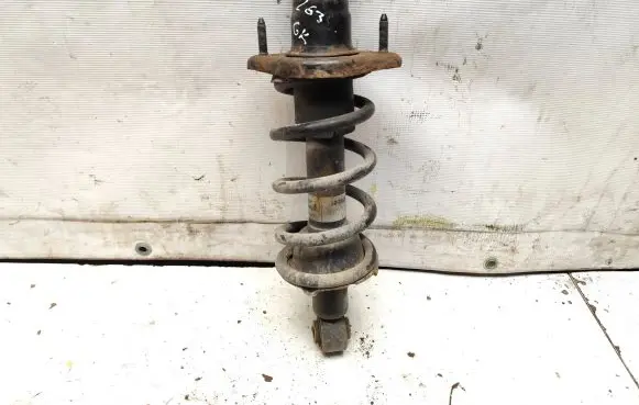 Honda CR-V Rear shock absorber with coil spring 19214108