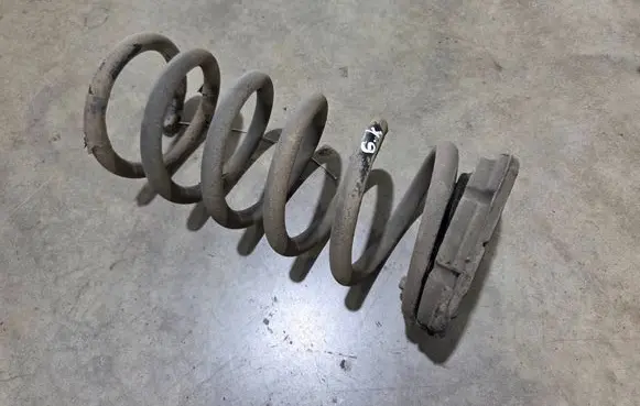 Rear coil spring