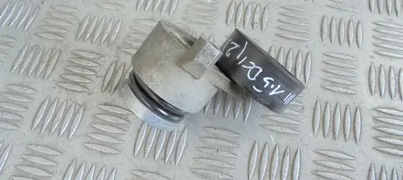 Renault Clio III Alternator belt tensioner 