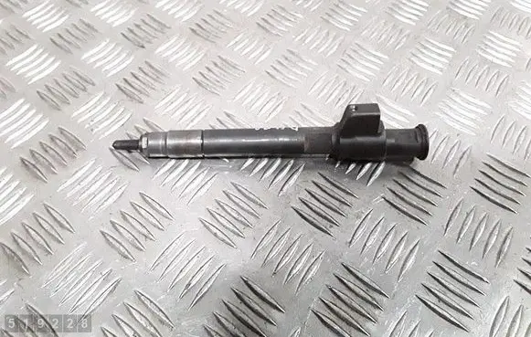 Peugeot Boxer Fuel injector 9824388280 28657626