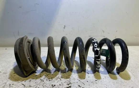 Dodge Challenger Rear coil spring 68391332AB