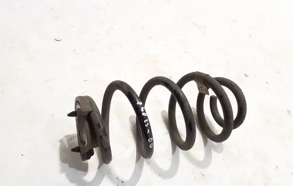 Rear coil spring