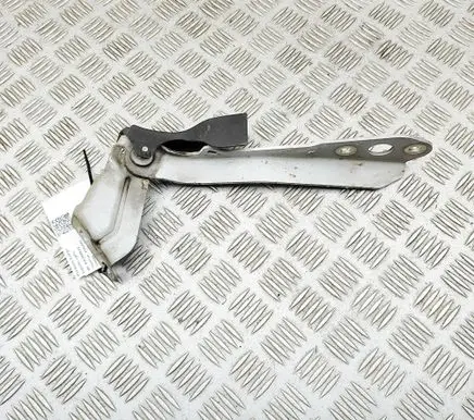 Renault Master III Engine bonnet/hood hinges 654010006R