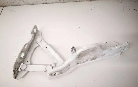 Tesla Model S Engine bonnet/hood hinges 102928500D
