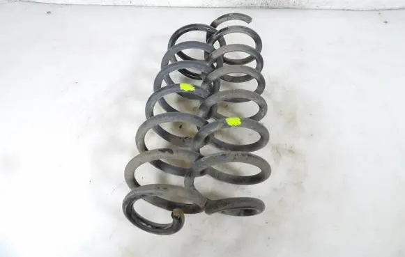 Rear coil spring