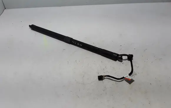 Tailgate strut