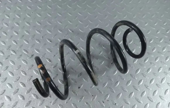 Rear coil spring
