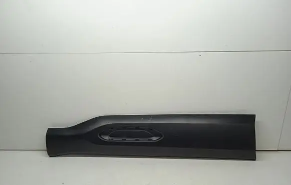 Citroen C4 III e-C4 Front door trim (molding) 9830660980 900736200
