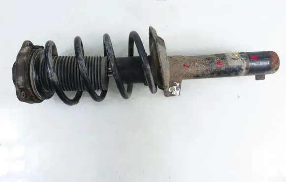 Volkswagen Golf V Front shock absorber with coil spring