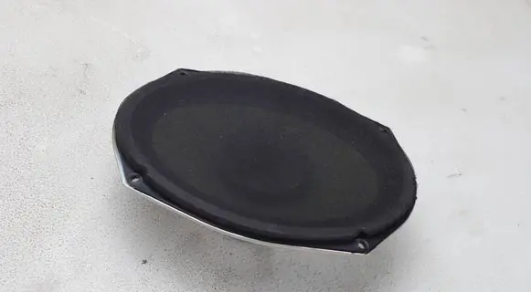 Dodge RAM 1500 DS Rear door speaker 05091019AB EASA23D22A4 45301S