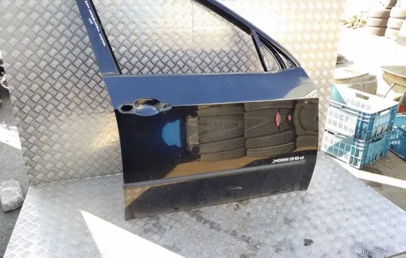 BMW X5 E70 Front door