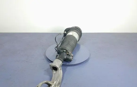 BMW X5 E53 Front shock absorber/damper 7831561
