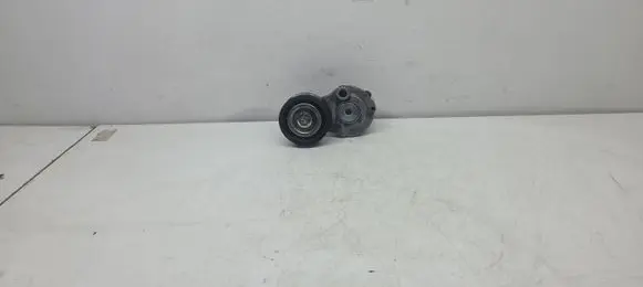 Chevrolet Captiva Generator/alternator belt tensioner 39270