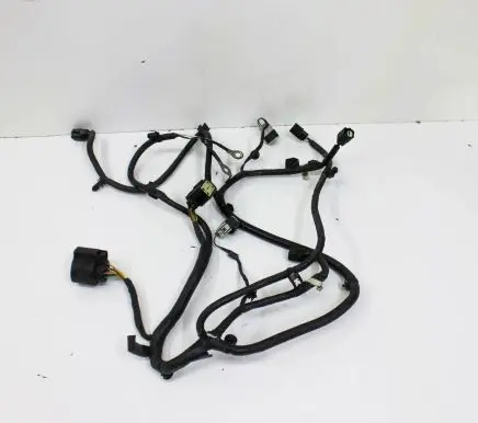Ford F150 Other wiring loom