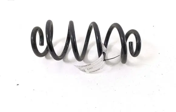 Rear coil spring