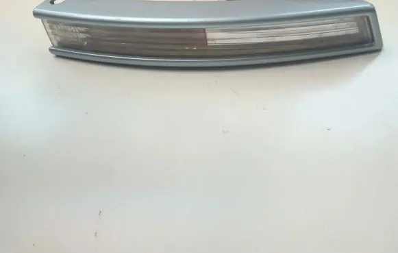 Volkswagen PASSAT B6 Front indicator light 3C0807718