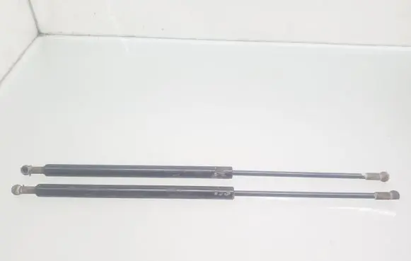 Tailgate strut