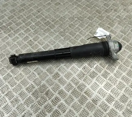Audi Q4 Sportback e-tron Rear shock absorber/damper 1EA512013BC