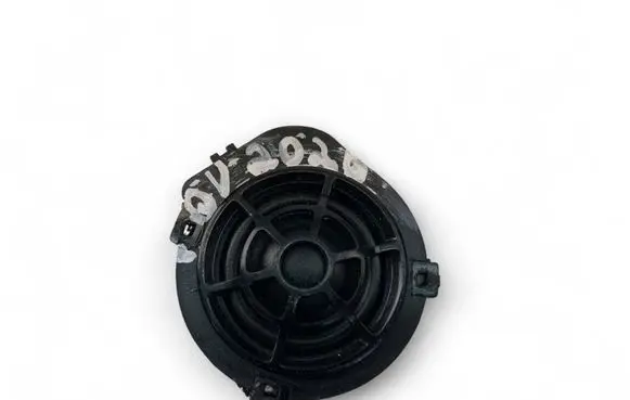 Front door speaker