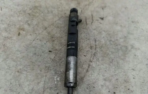 Renault Kangoo II Fuel injector 
