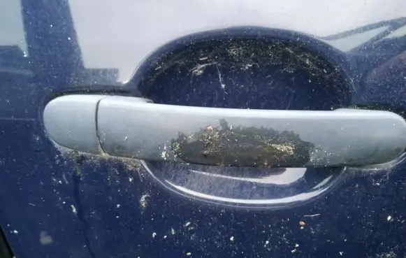 Audi A2 Front door exterior handle