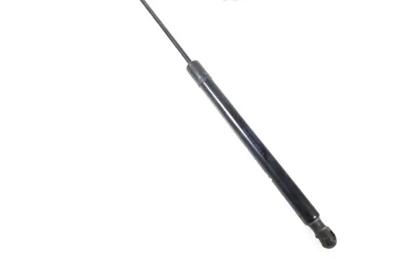 Tailgate strut