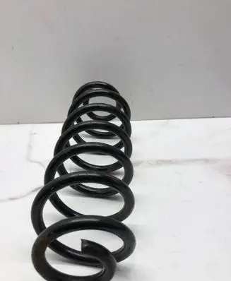 Volkswagen PASSAT B6 Rear coil spring