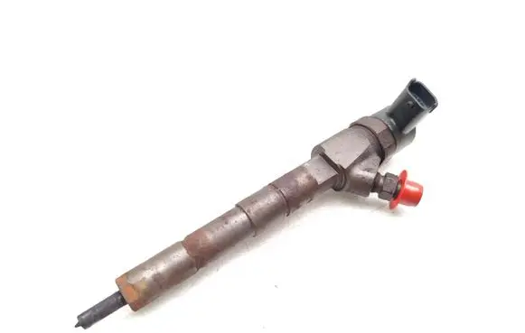 Opel Insignia A Fuel injector 0445110423 55577668