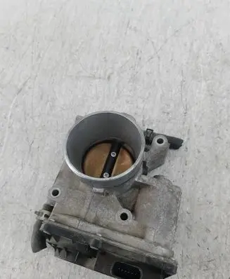 Throttle body valve