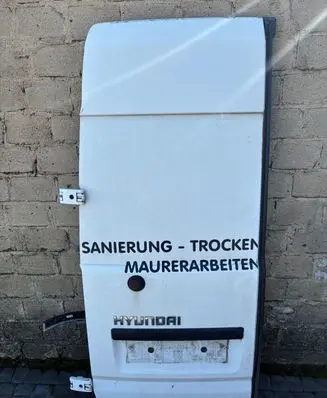 Hyundai Solati H350 Back/rear loading door 