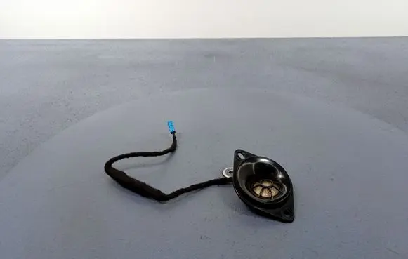 BMW M3 Subwoofer speaker 5A29F46