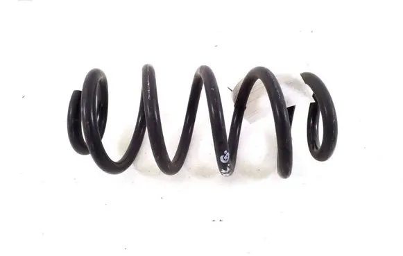 Rear coil spring