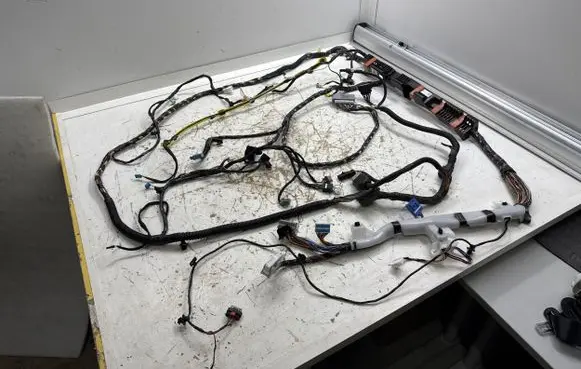 Tesla Model Y Other wiring loom 151660200C 248904100A 20211230
