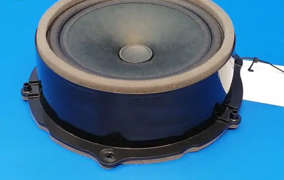 Land Rover Evoque II Front door speaker GX7318808DC