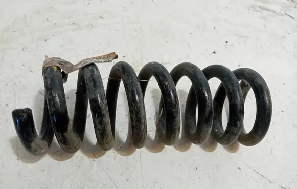 Dodge Challenger Rear coil spring 05181904AC